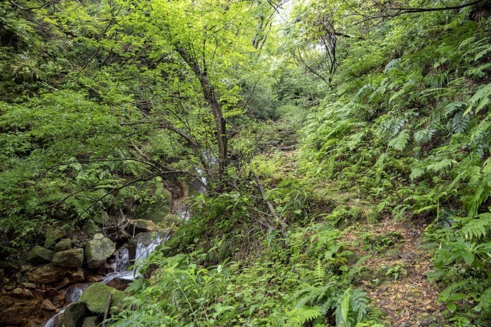 f0297537_16330337.jpg