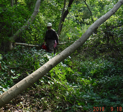 a0051539_20480552.png