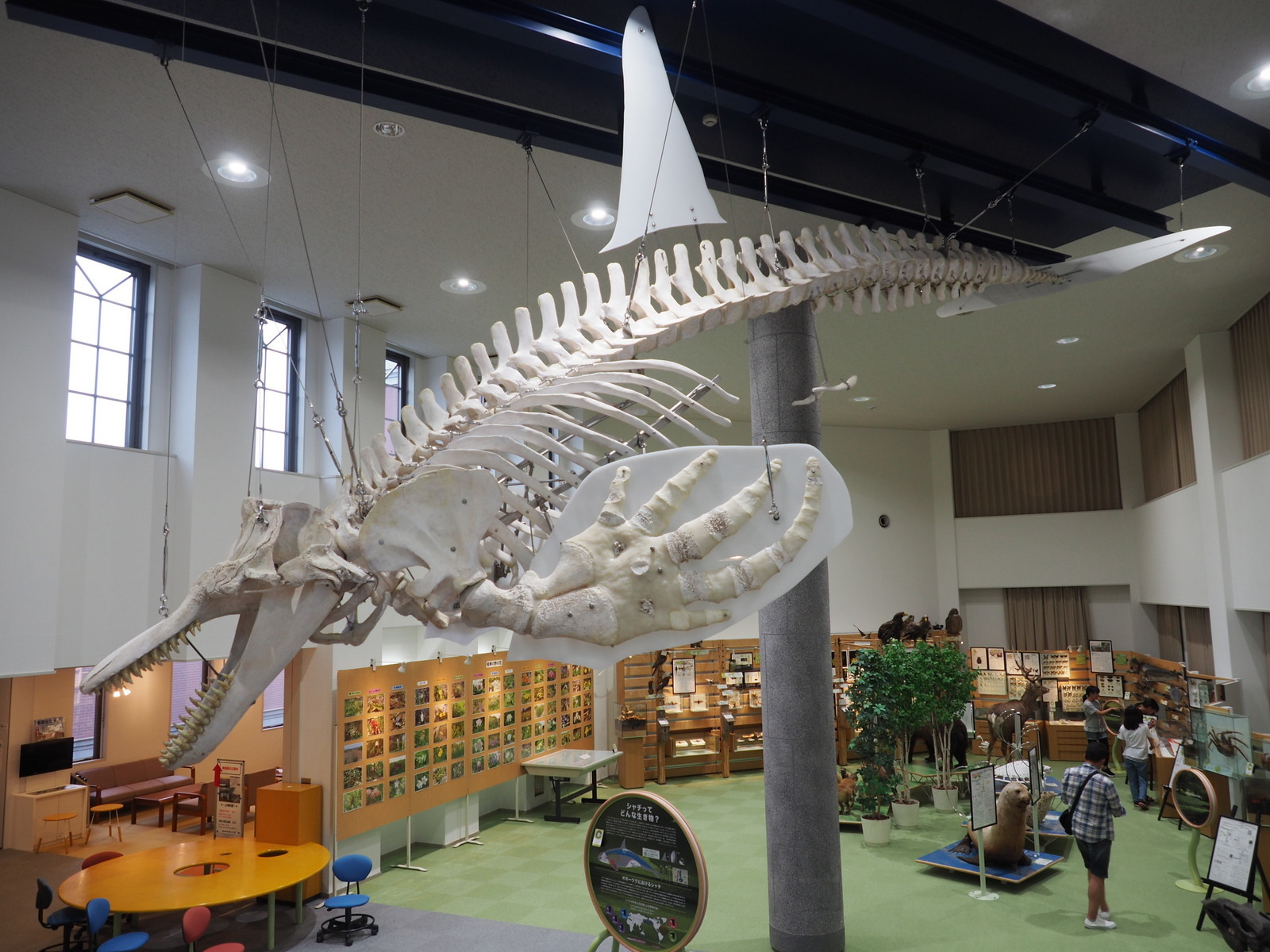 18 08 14 オホーツクミュージアムえさし 北海道一周35 ジムニーとハイゼット ピカソ カプチーノ とスカルペル で旅に出よう