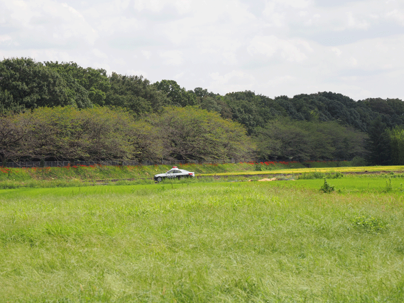 d0290240_20401467.gif