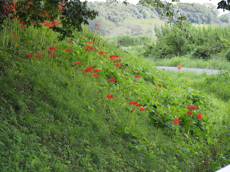 d0290240_20465394.gif