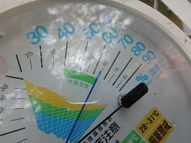 f0334143_8231054.jpg