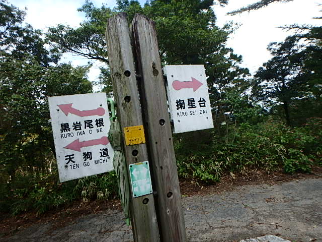 f0334143_8234465.jpg