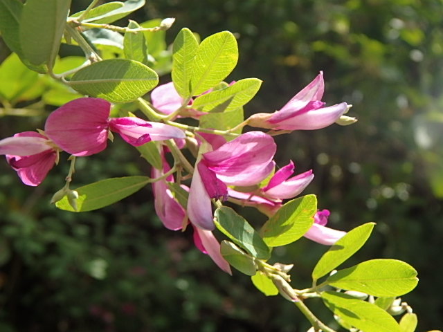 f0334143_8282258.jpg