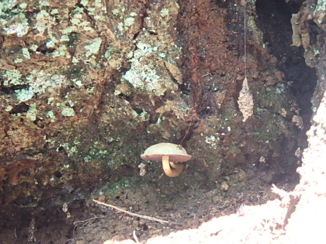 f0334143_829159.jpg