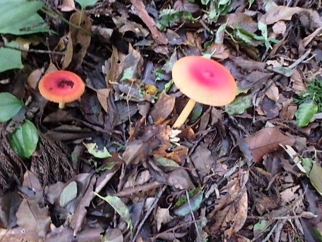 f0334143_8361655.jpg