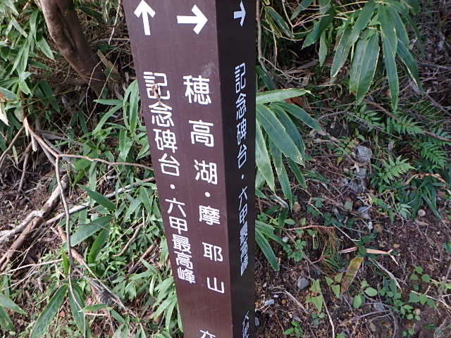 f0334143_8393832.jpg