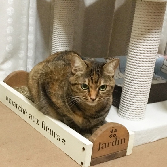 f0372445_10021382.jpeg