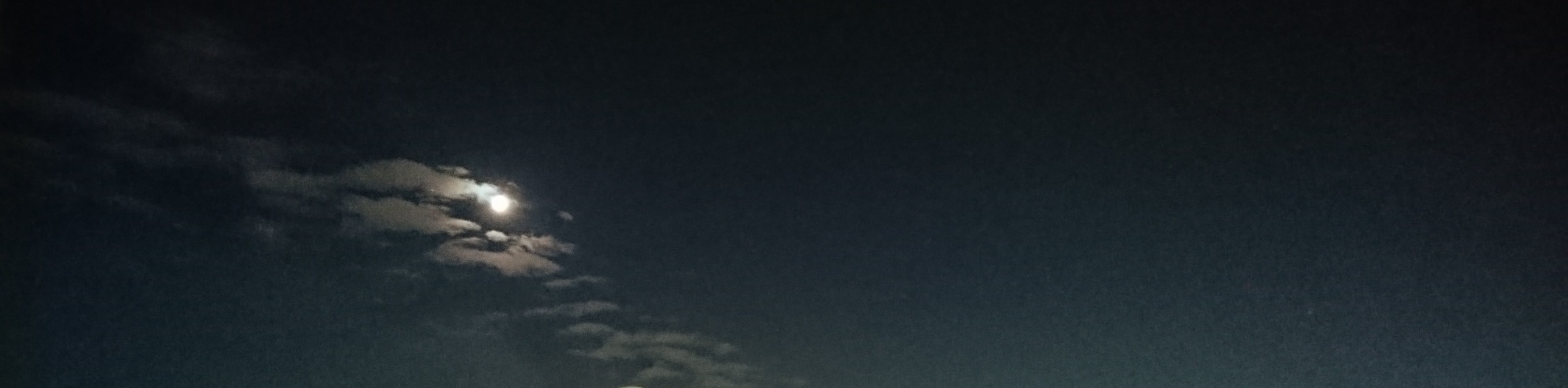 b0142251_09181938.jpg