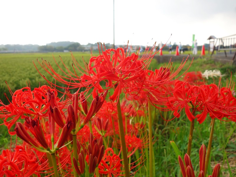 f0291154_005760.jpg