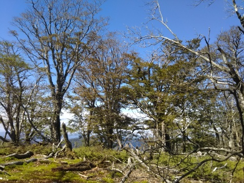 2018年9月17日　石楠山　南犬切山　七編巡り　北山犬切_e0245655_22165853.jpg