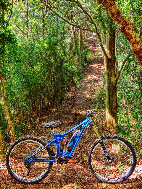 MERIDA eONE-SIXTY adventure VIII_b0049658_07421495.jpg
