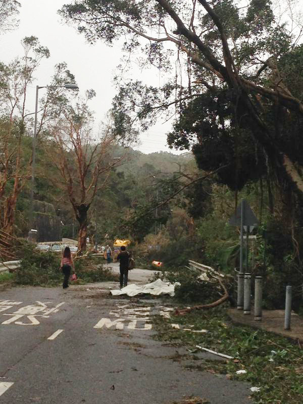 台風の被害は当日だけにあらず～被害甚大台風「山竹」_a0132659_08444879.jpg