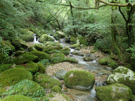 d0182075_03021667.jpg