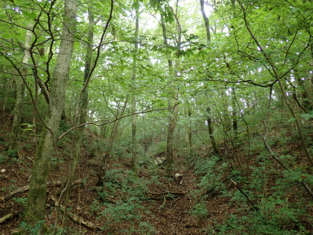 d0182075_03022858.jpg