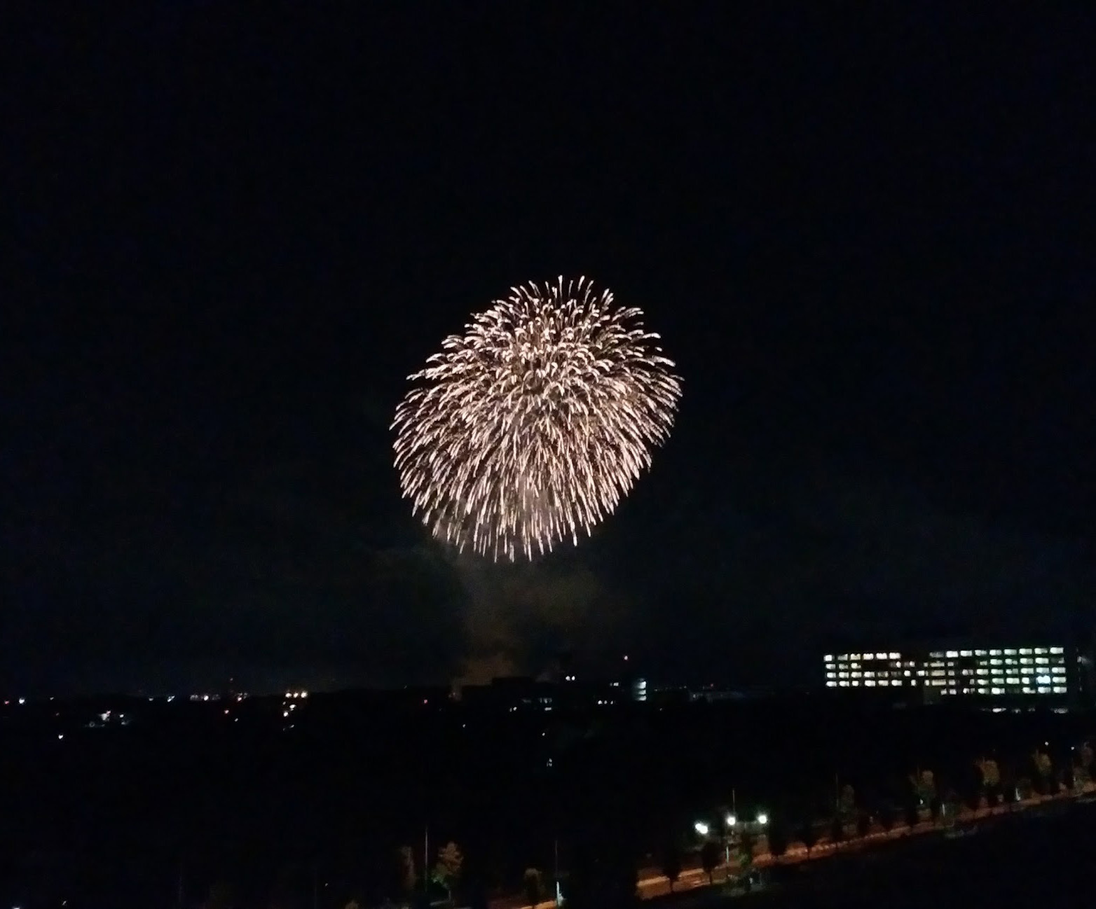 中止になった昭和記念公園の花火大会が11月23日(金祝)に再開催決定！_e0267277_17105211.jpg