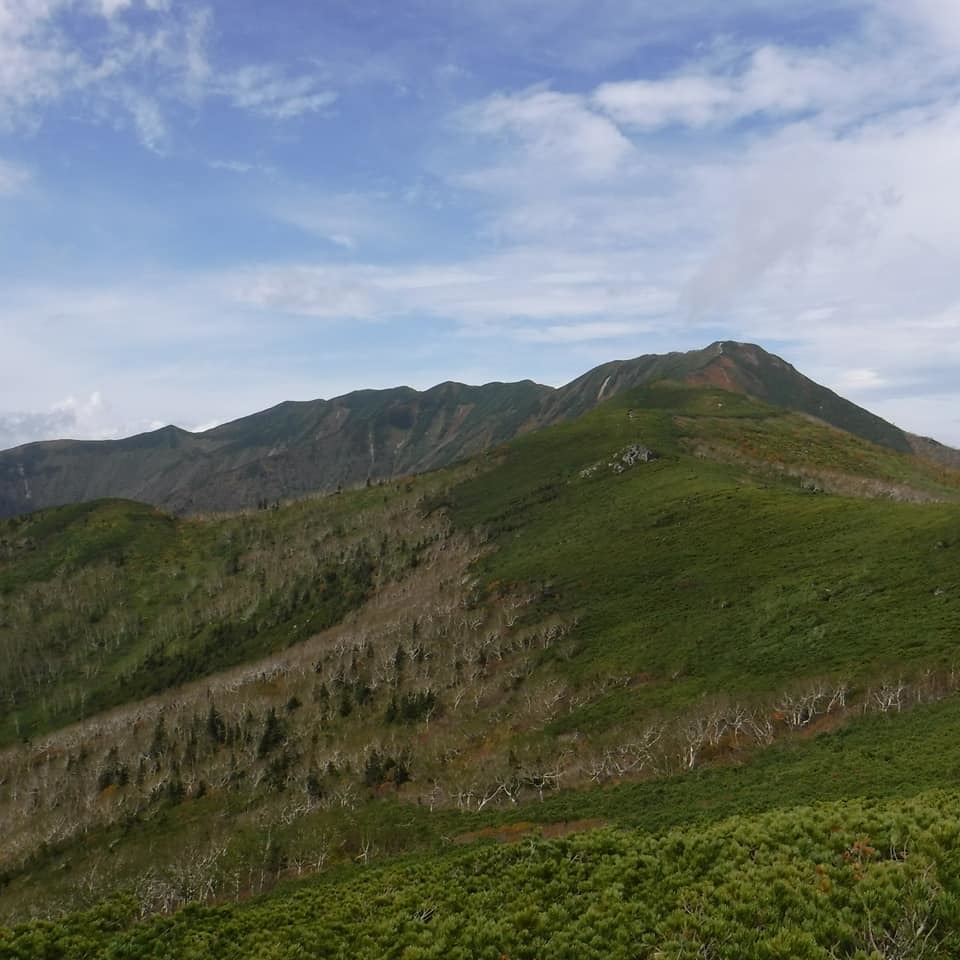 a0141678_23593104.jpg