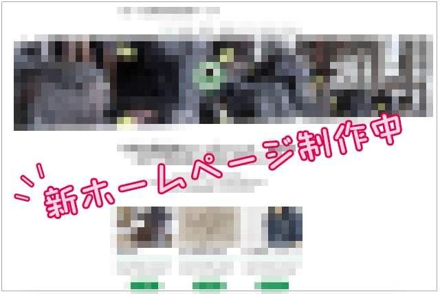 黒毛和牛のOPU（経膣採卵）_c0126281_11194314.jpg
