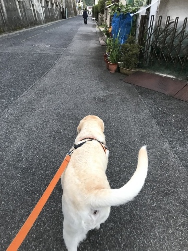 f0315081_21220380.jpeg