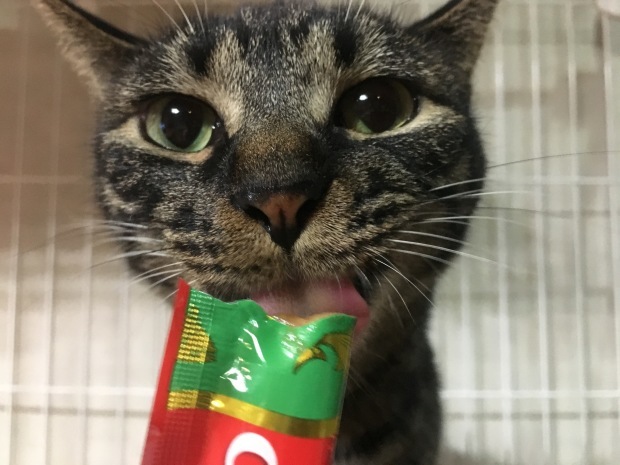 b0377882_16311733.jpeg
