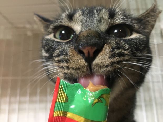 b0377882_16313105.jpeg