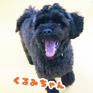 ボール遊び♪_f0357682_12382110.jpg