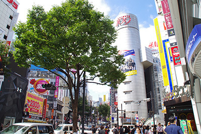 b0056983_14380060.jpg