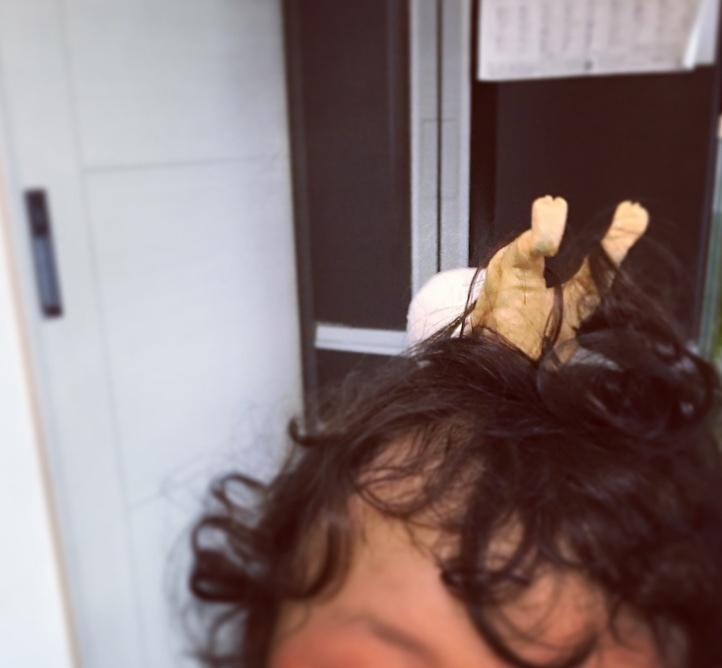 a0092285_18190491.jpeg
