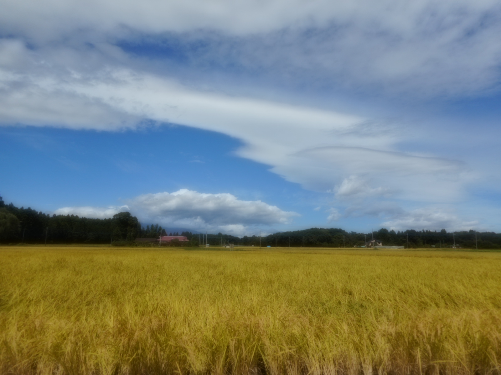 b0203588_1861277.jpg