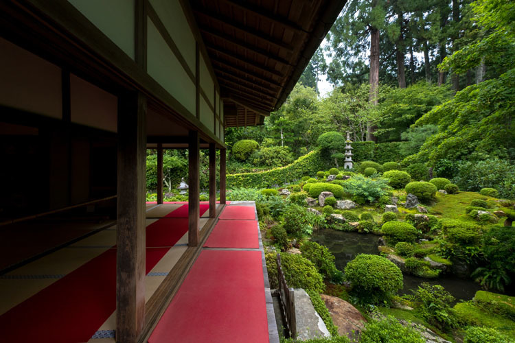 三千院_e0051888_05324531.jpg
