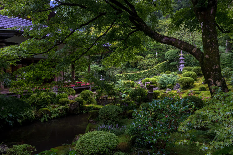 三千院_e0051888_05335676.jpg