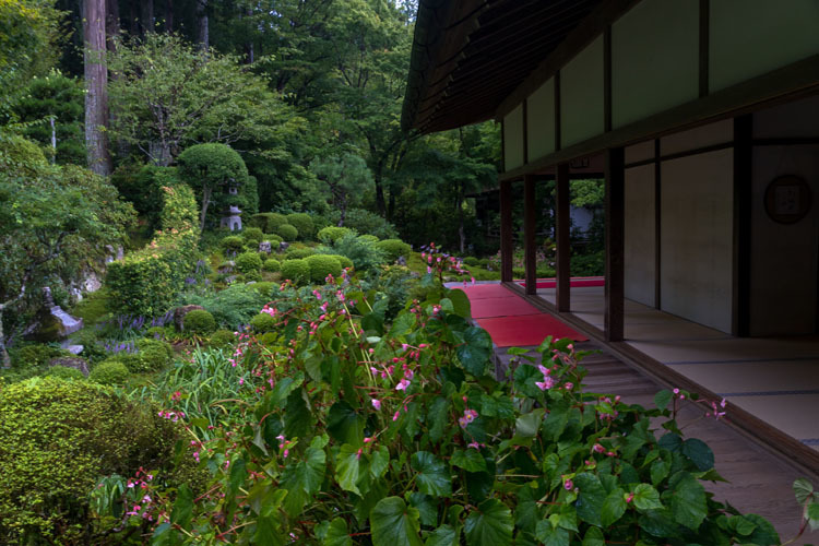 三千院_e0051888_05362552.jpg