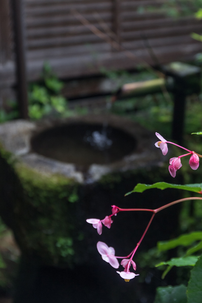 三千院_e0051888_05363731.jpg