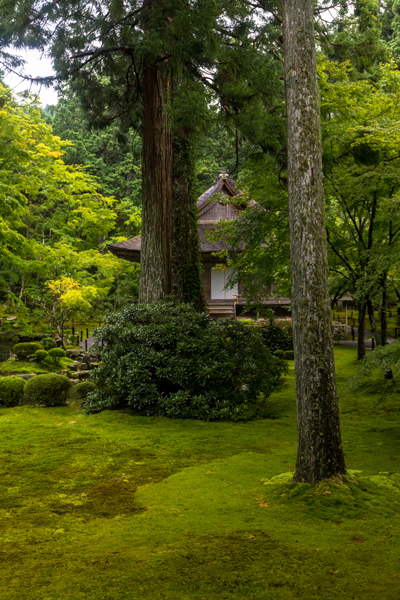 三千院_e0051888_05375212.jpg