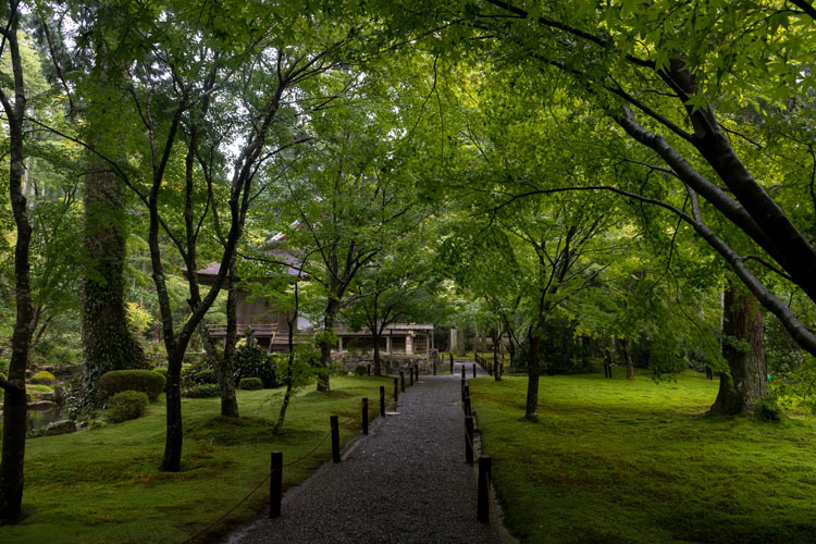 三千院_e0051888_05381496.jpg