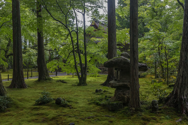 三千院_e0051888_05405022.jpg