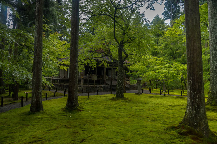 三千院_e0051888_05410339.jpg