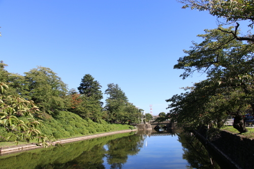 松が岬公園の朝　快晴_c0075701_09092280.jpg