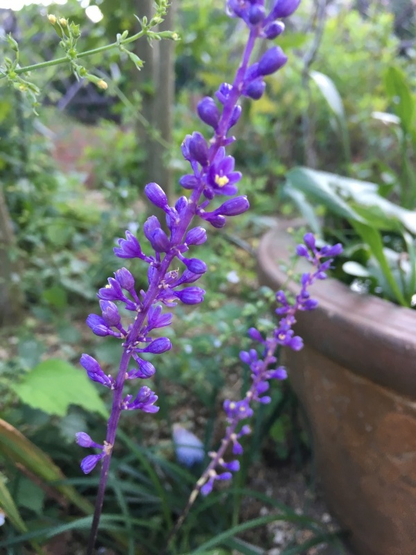 b0220002_17545672.jpeg