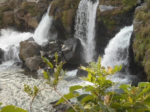 d0009105_2151183.jpg