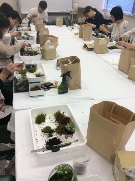 苔アーティスト今田裕から教わる癒しの苔テラリウム教室_d0240711_12212410.jpeg