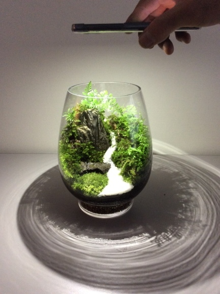 苔アーティスト今田裕から教わる癒しの苔テラリウム教室_d0240711_12240923.jpeg