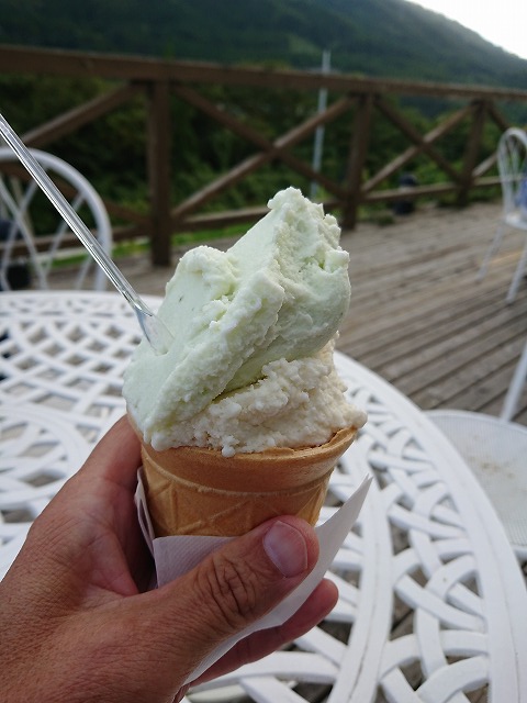 f0100911_2214643.jpg