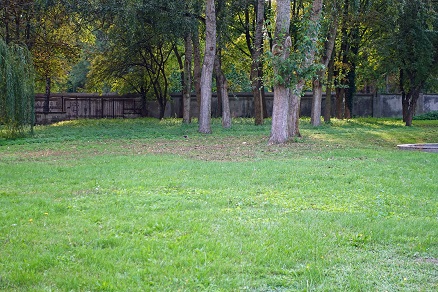 a0151913_6381310.jpg