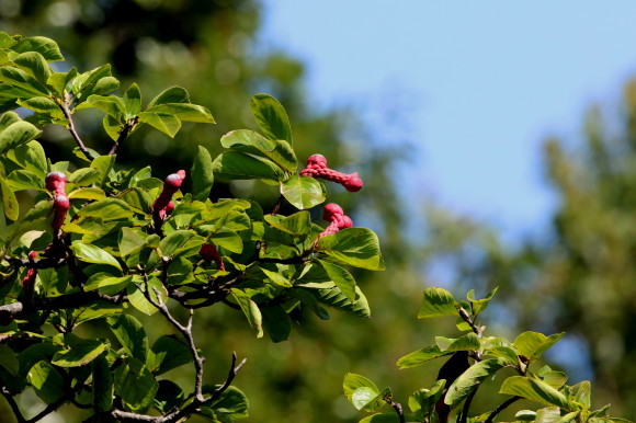 d0346713_21312433.jpg