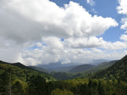 d0221319_07124058.jpg