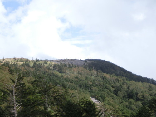 d0221319_07125272.jpg