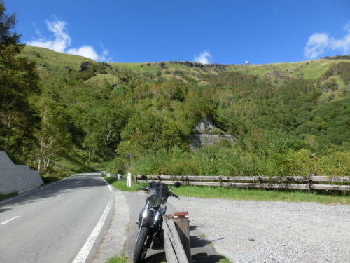 d0221319_07172012.jpg