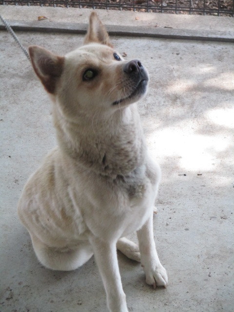 f0078320_00563990.jpg