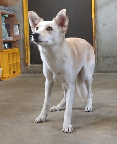 f0078320_10081429.jpg